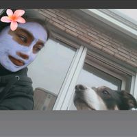 xthe_tomato_mayax