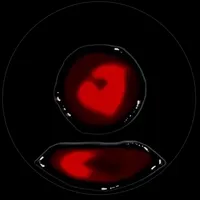 original sound - yoxhio__