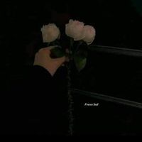 ademar_68__