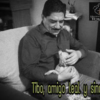 mateo.toledo.s
