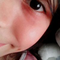 _312bri