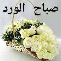 user9925523845313