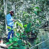 luizgustavocalciolari