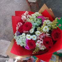 lauhdez28