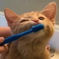 original sound - captainelliebro