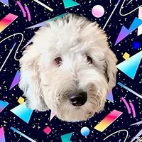 original sound - whataboutbunny