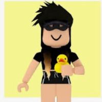 roblox.vibesxx321