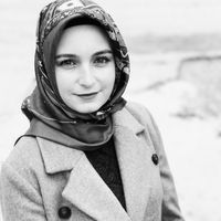 nebis_1991