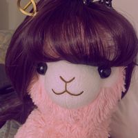 amaialpaca