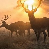 eclipseuser2826716747948