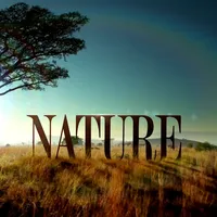 A dangerous profession