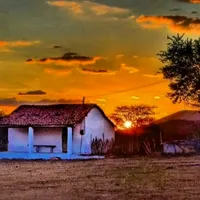 original sound - nordestino.vivido