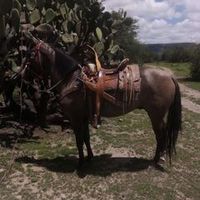 cesarcortesvazque