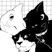 trinomiogatunoperfecto