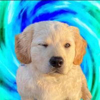 Pls follow sound creator FINN if u use thanks