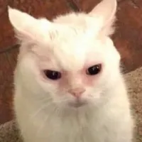 EGIRLS ARE RUINING MY LIFE