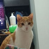 kevinsantiagogarc17