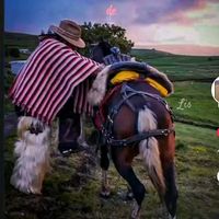 sonido original - ꧁✞ঔৣ A̼P̼A̼C̼H̼E̼❤️‍🔥🐴👌