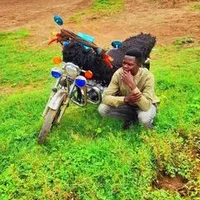 original sound - farougadam719