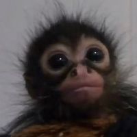 silenthill2walkthrough