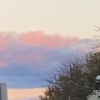 this.is.me.surviving2