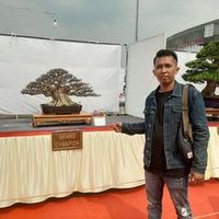 alambonsai5