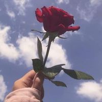 yts_d_jyc29