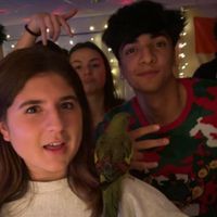 the_real_avert_pollock