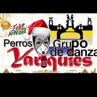 perrosyaruquiesdanza