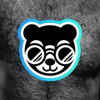 Bear Face Bears Looking
