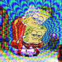 I think I got shadowbanned for this pls interact