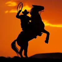 original sound - llanerovuelveatullano