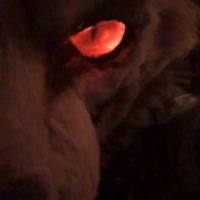 bigbadfiredad