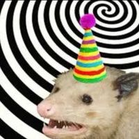 possum__party