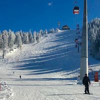 poianabrasov.romania