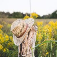 mae_str8backtoherroots