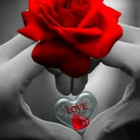 hermosha_20