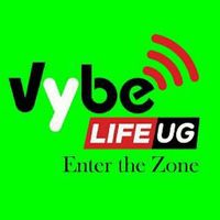 vybelifeug