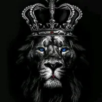 original sound - eu_sunt_sefu_vostru