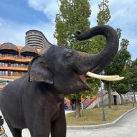 yahittzoo