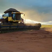 original sound - agriculturabrutag1