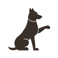 dressagedogbejaia513
