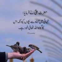 muhammad.tanha34