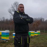 оригинален звук