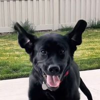 Im lookin for a dad with snackies