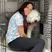 normalvetlife