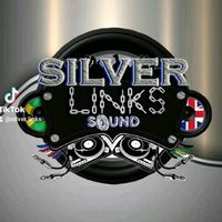 silver.links