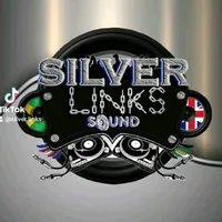 original sound - silver.links