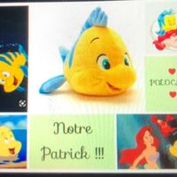 patrick.wattellier