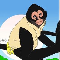 kekethespidermonkey